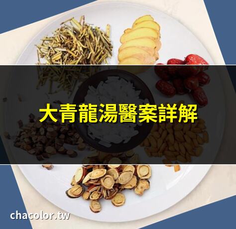 大青龙汤 医砭