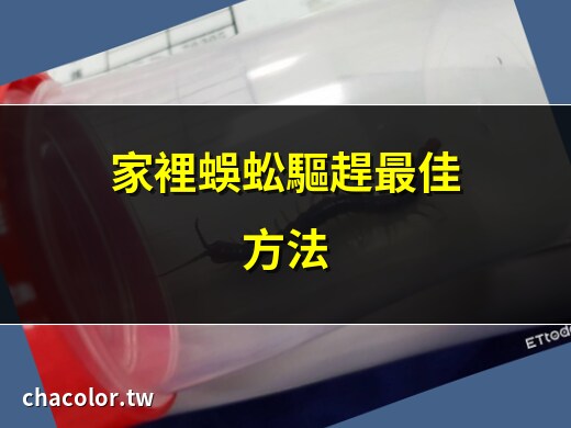 家裡 蜈蚣