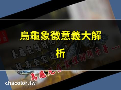 烏龜 象徵