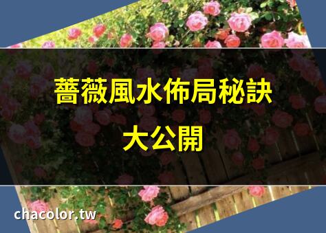薔薇 風水