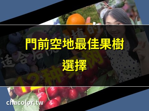 门前种什么果树好